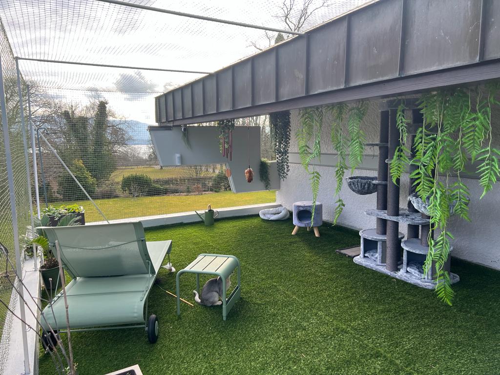 Terrasse pour chat